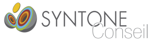 Logo Syntone